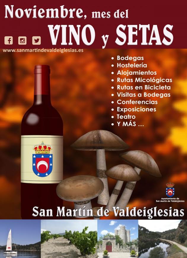 Mes de Vino y Setas en San Martín de Valdeiglesias